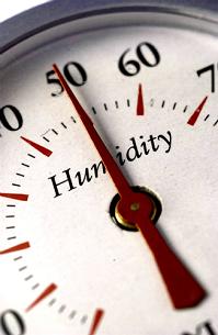 home dehumidification system, Boston, Northborough MA